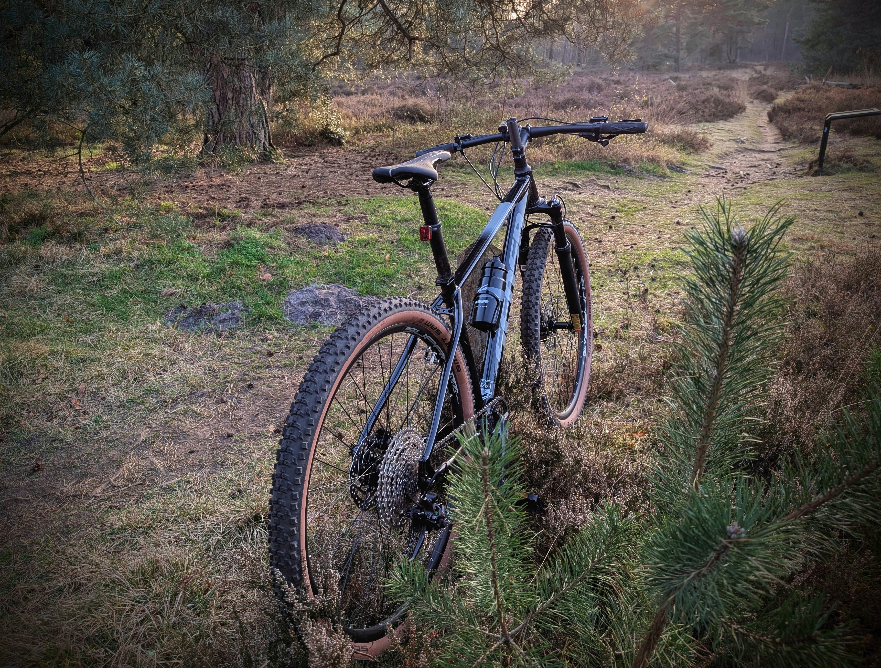 Mountain biking in the forest in Twente
