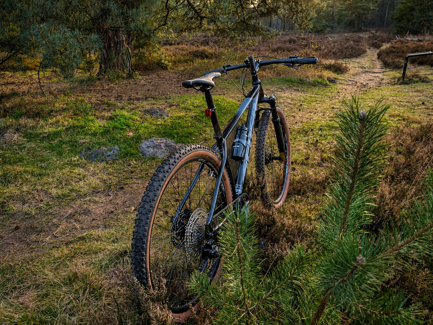 Mountainbike im Wald in Twente